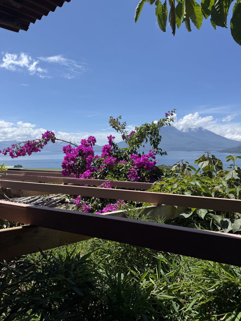 Bright pink bougainvillea in the foreground with a clear view of Lake Atitlán and its volcanoes on a lush rainy-season day.