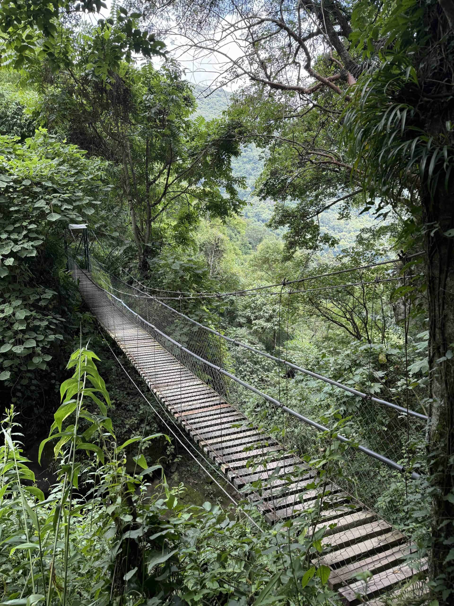 Wooden suspension bridge crossing dense green jungle at Reserva Natural Atitlán, Panajachel