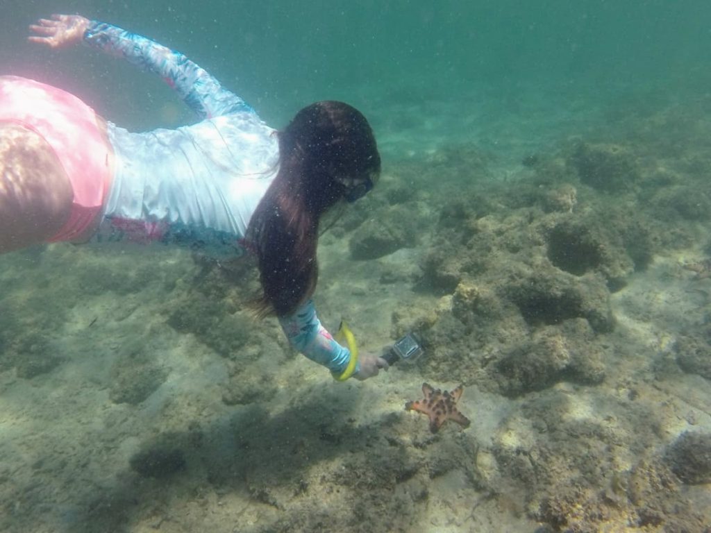 Woman snorkeling above a starfish in shallow clear water at Starfish Island, Honda Bay, Philippines.