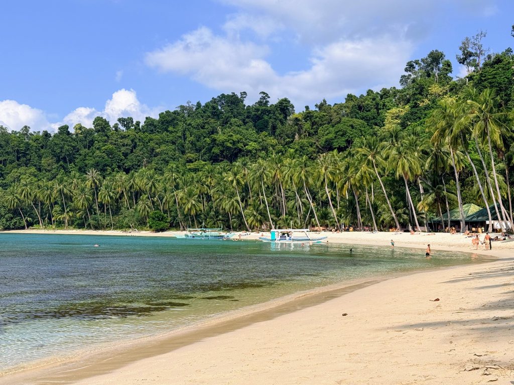 Scenic tropical beach in the Philippines with clear waters, white sand, and lush green palm trees, perfect for relaxation and island adventures.