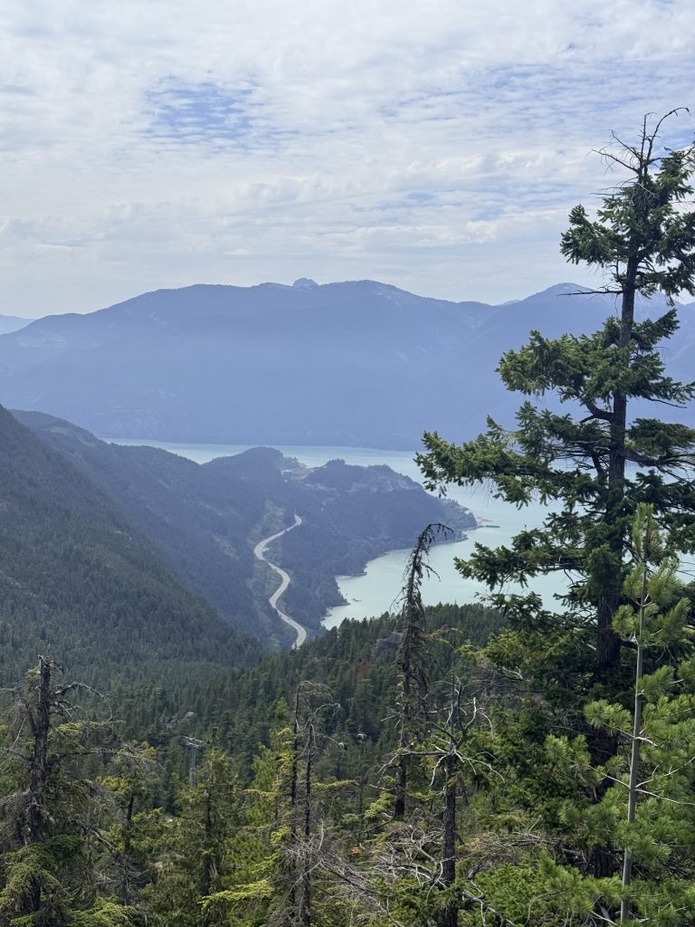 Sea to Sky Highway winding beside Howe Sound below the gondola summit