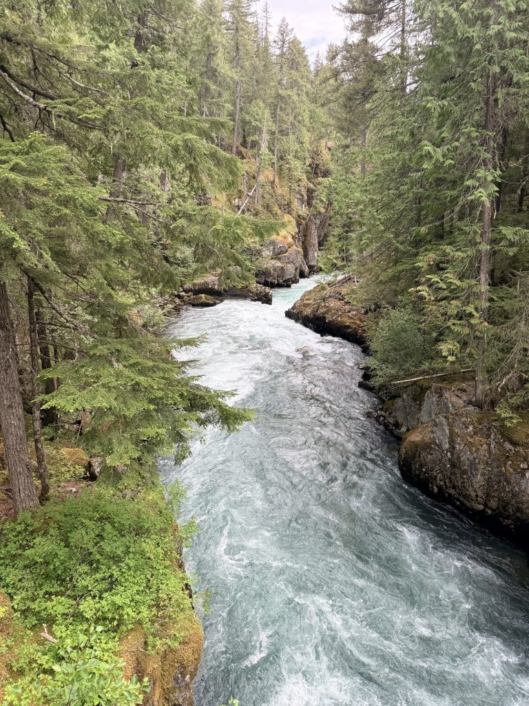 Cheakamus River flowing through the forest near the Whistler Train Wreck