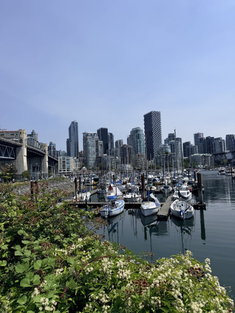 Sailboats in a False Creek marina with downtown Vancouver high-rises in the background.