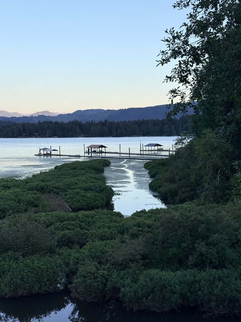 Evening view over Sproat Lake with docks, forested shoreline and mountains on Vancouver Island.