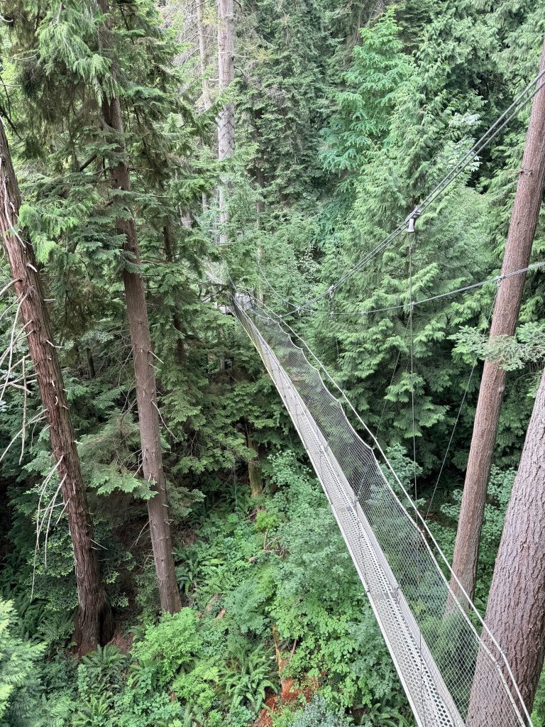 Suspension bridge crossing high above the lush forest floor on the Greenheart TreeWalk at UBC Botanical Garden.