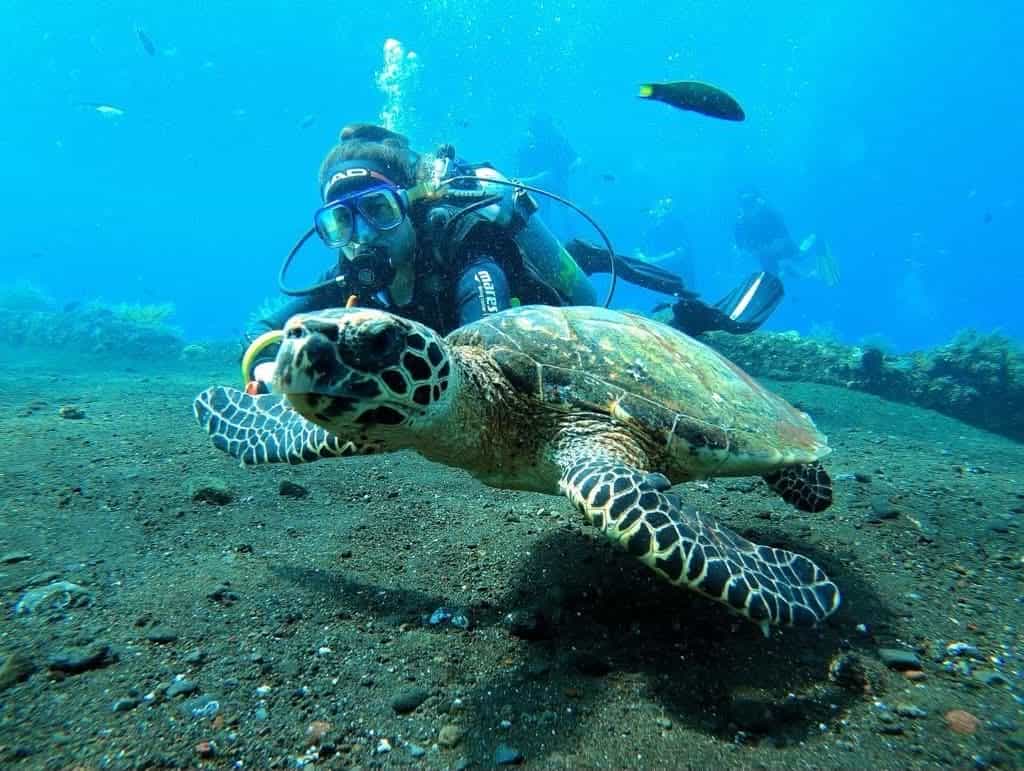 Scuba diving with a sea turtle in Bali