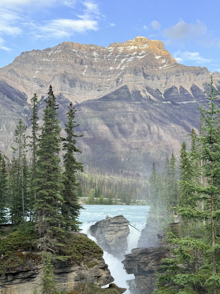 Athabasca Falls rushing through a rocky gorge beneath mountain peaks and evergreen forest along the Icefields Parkway near Jasper.