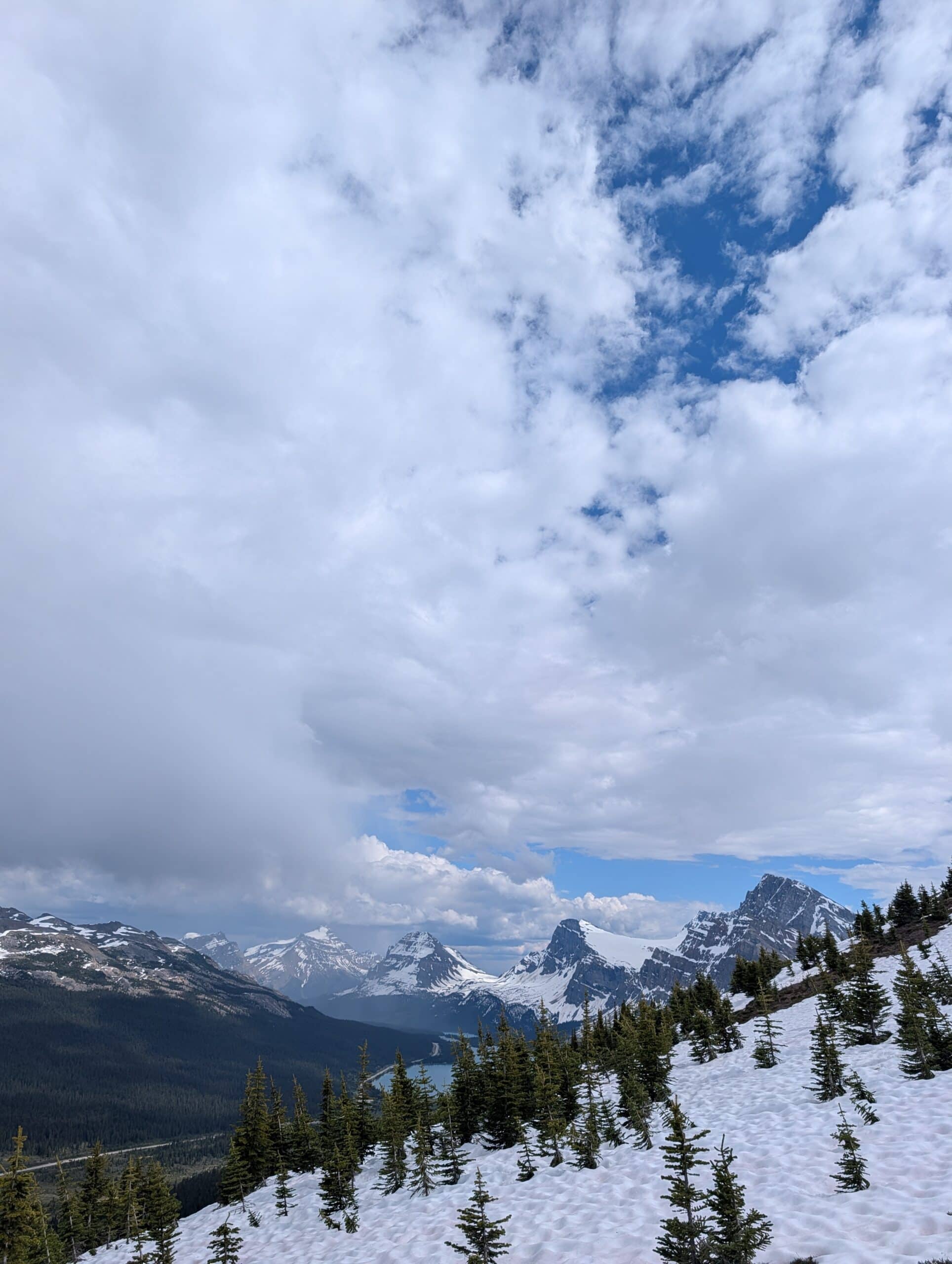 Mountain valley viewed from a snowy hillside along the Bow Summit trail, with scattered conifers in the foreground.