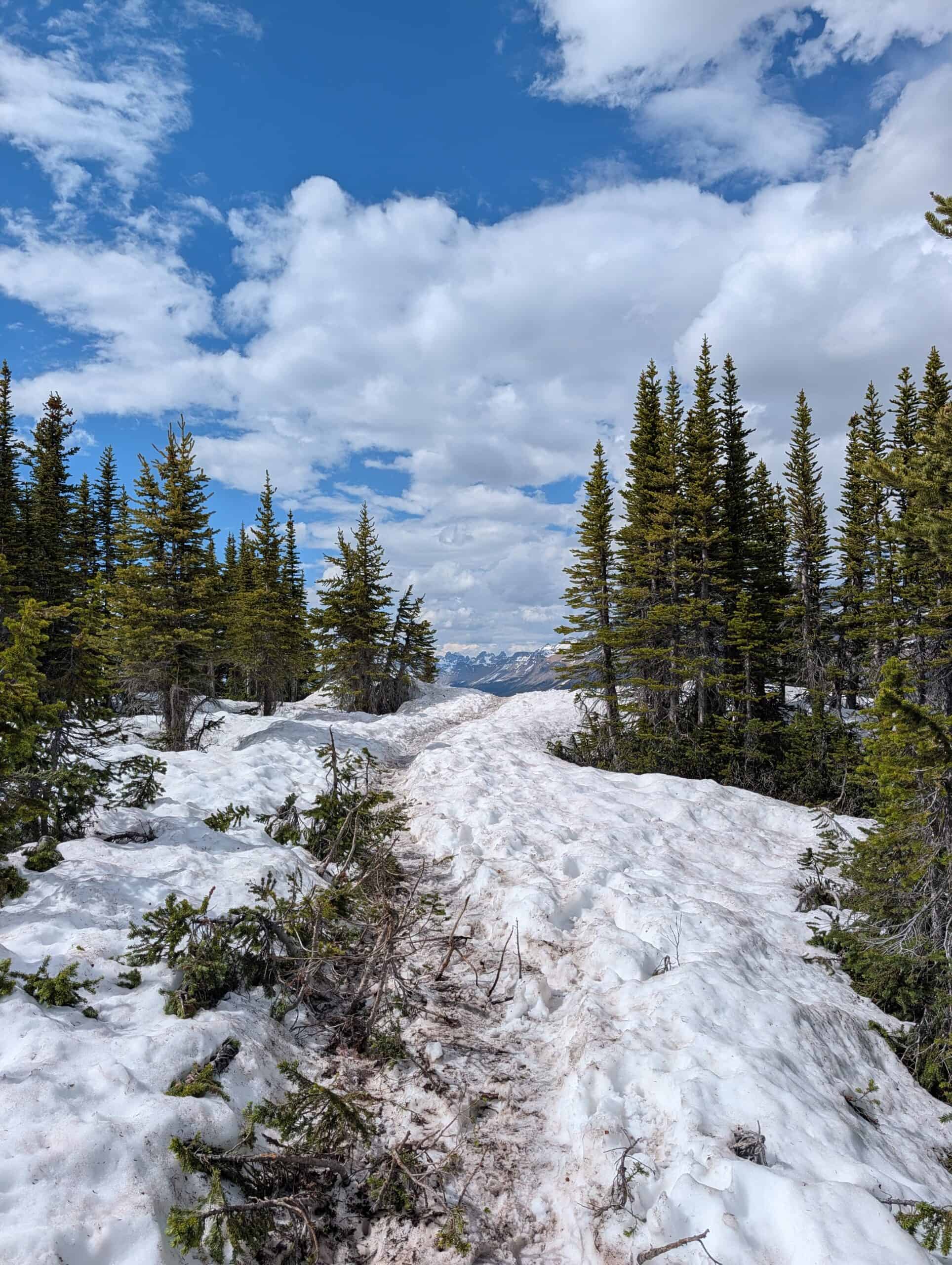 Footprints along a snow-covered section of the Bow Summit trail, with conifers and mountains ahead.