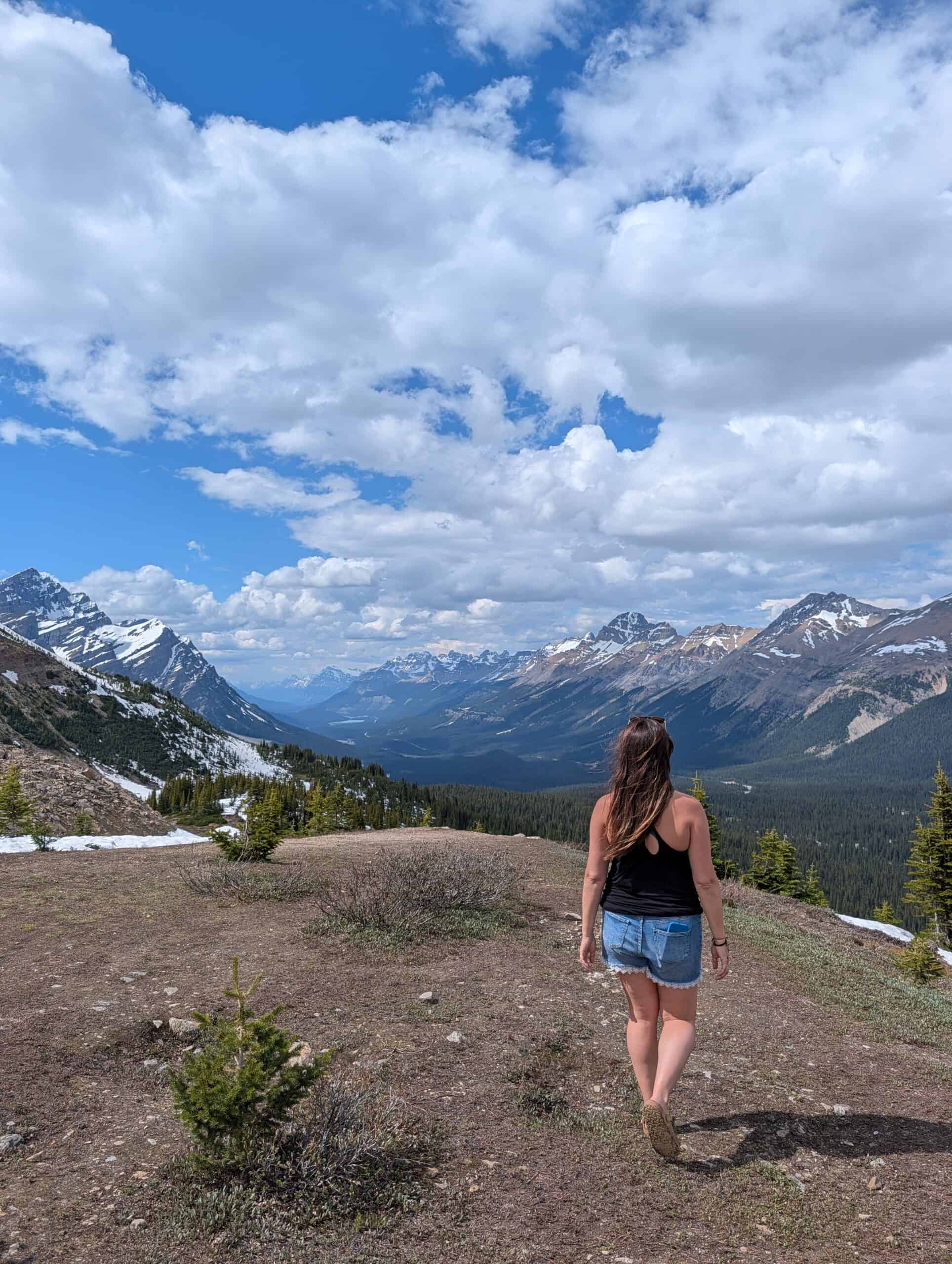 Annie facing a mountain valley on the Bow Summit hike, with patches of snow across the open ground.