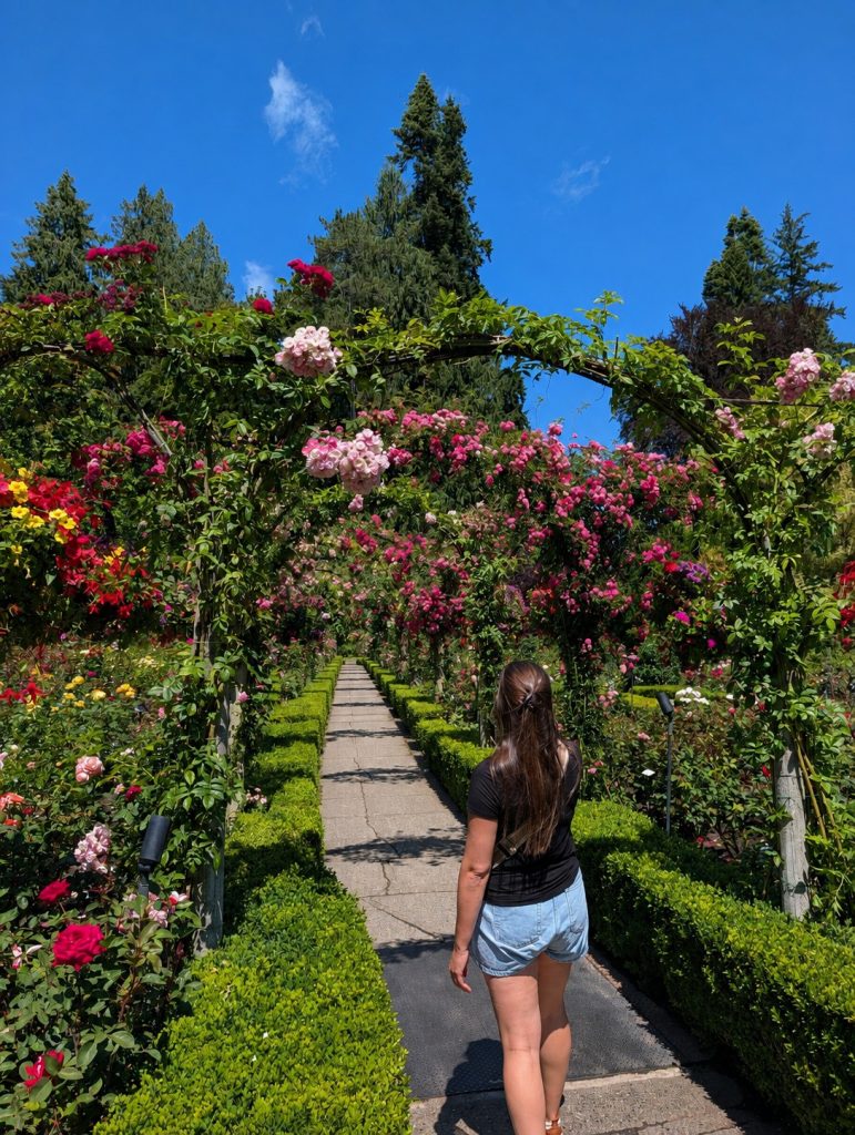 Walking through the Rose Garden at Butchart Gardens in Victoria, BC, surrounded by colorful roses and flower-covered arches.