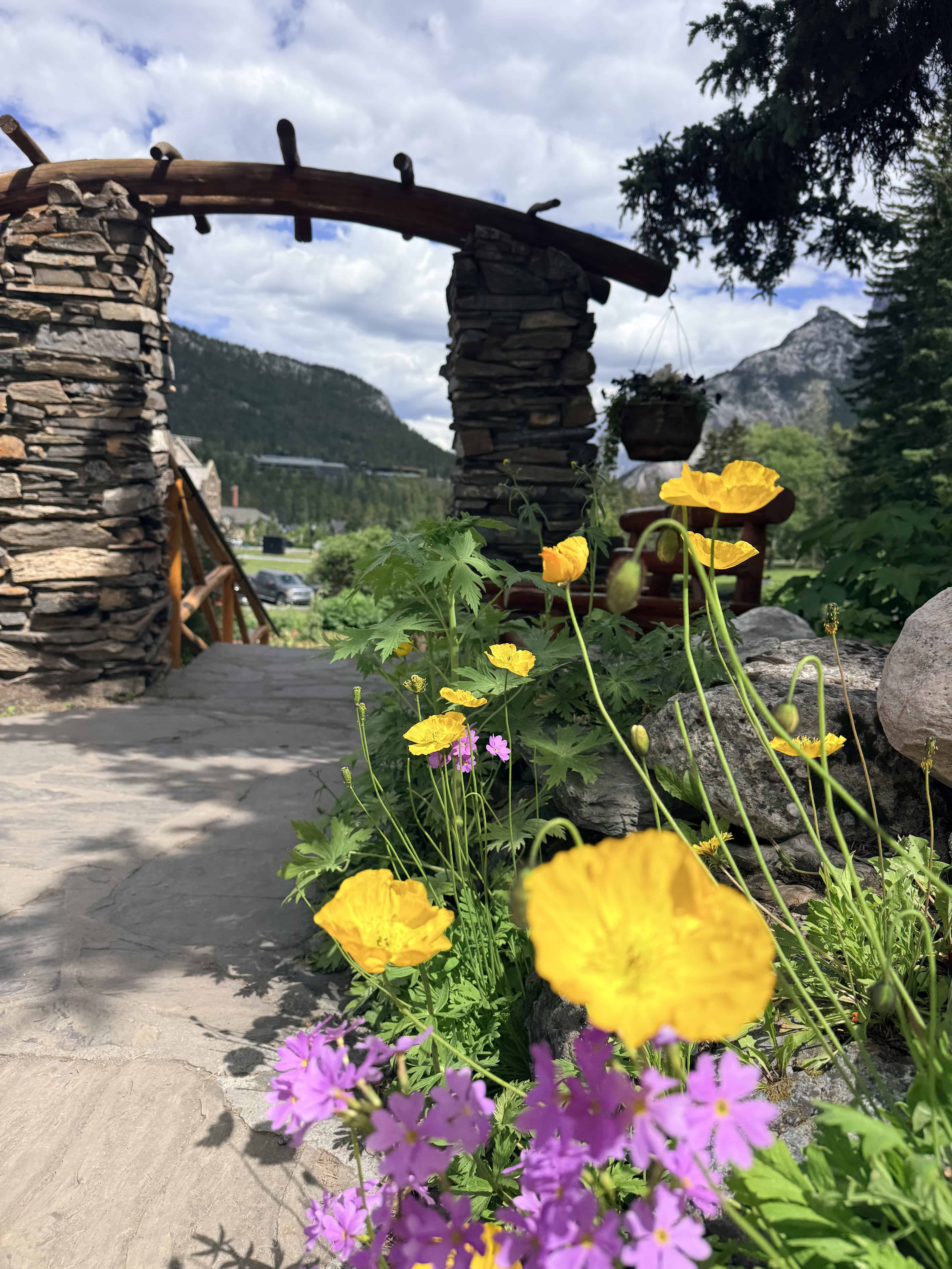 Colourful flowers and landscaped grounds at Cascade of Time Garden in downtown Banff, Alberta.