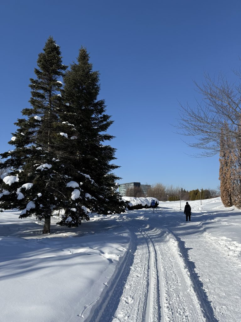 cross-country-skiing-quebec-city