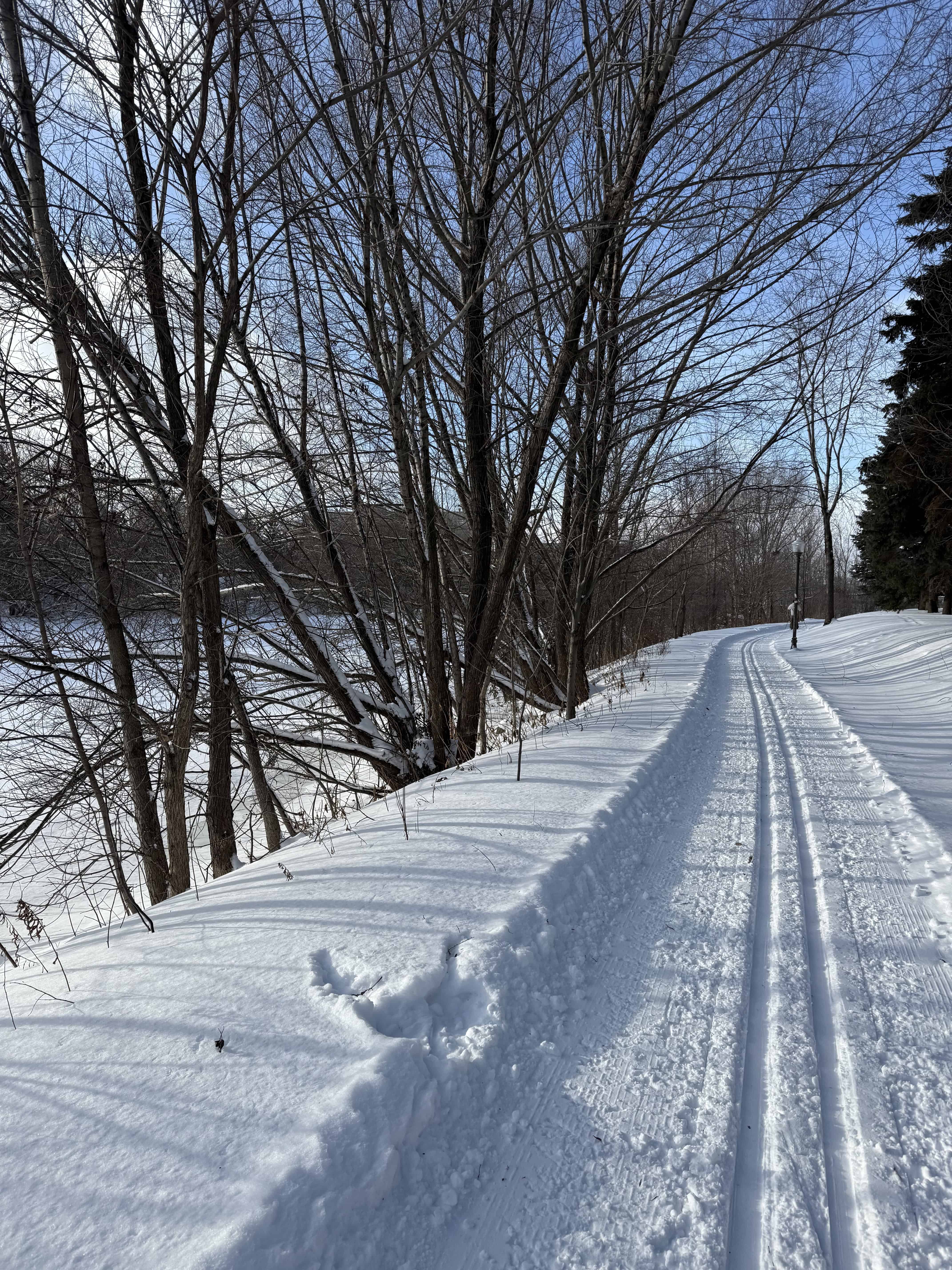 Groomed cross-country ski trail winding through snow-covered trees in Quebec City on a bright winter day.