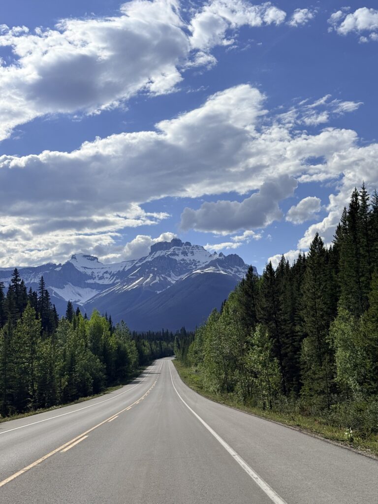 Scenic Icefields Parkway road winding through evergreen forest toward snow-capped peaks in the Canadian Rockies near Jasper.