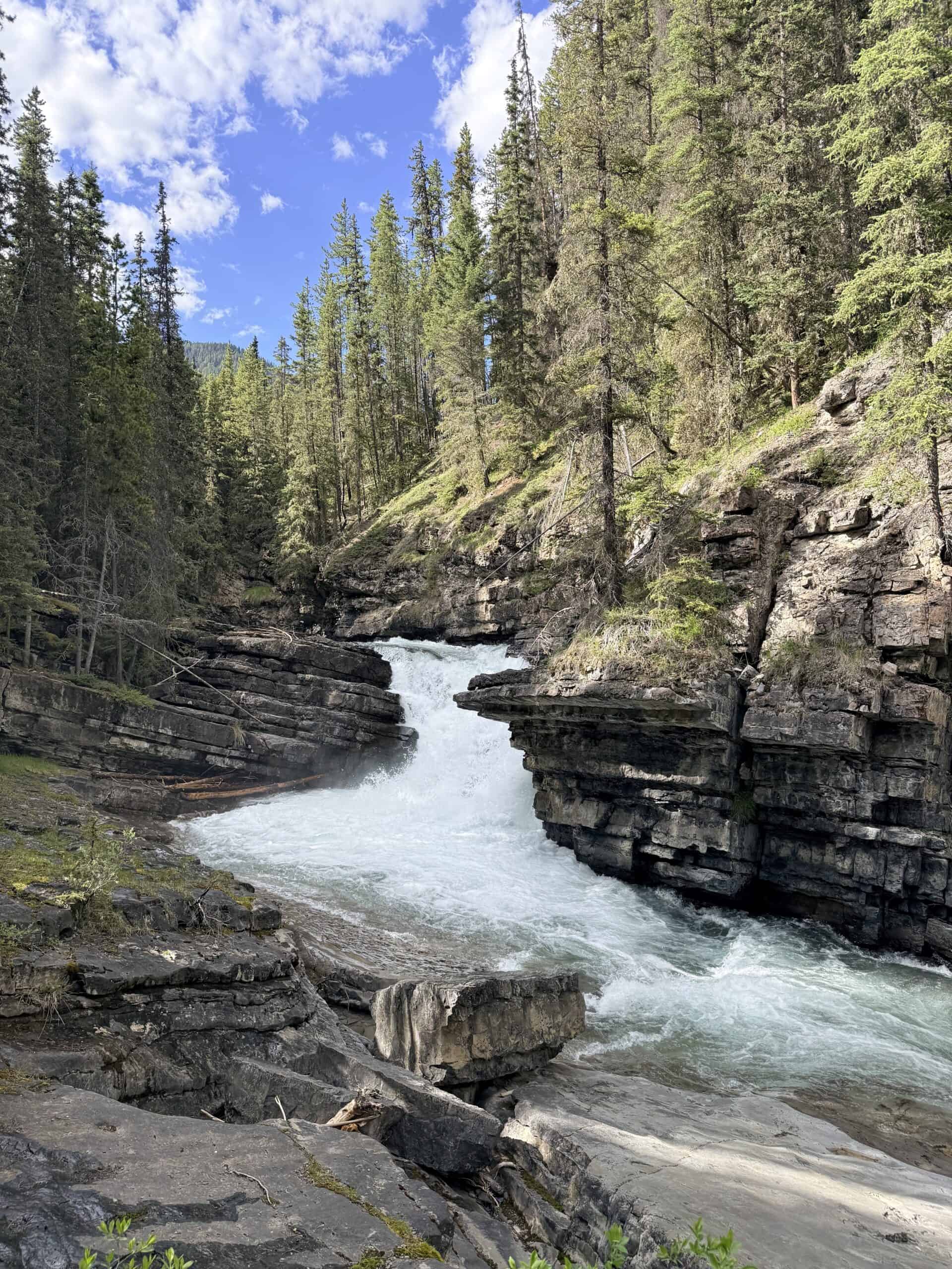 Rushing turquoise water flowing through a rocky gorge in Johnston Canyon, surrounded by evergreen forest in Banff National Park.