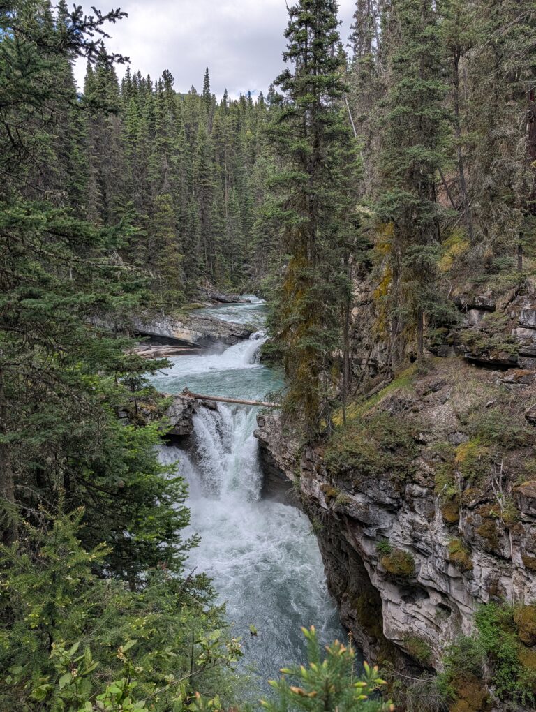 Waterfall cascading through Johnston Canyon into turquoise Johnston Creek, surrounded by evergreen forest and layered rock walls in Banff National Park.