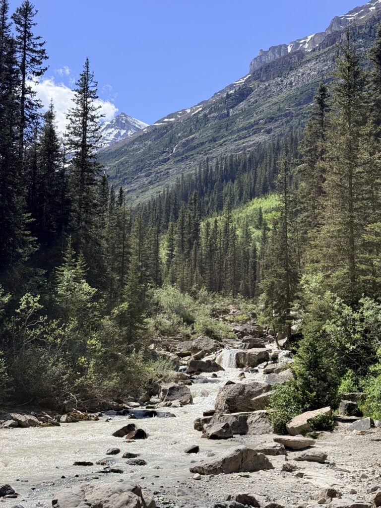 Rocky mountain stream flowing beside a hiking trail near Lake Louise in Banff National Park.