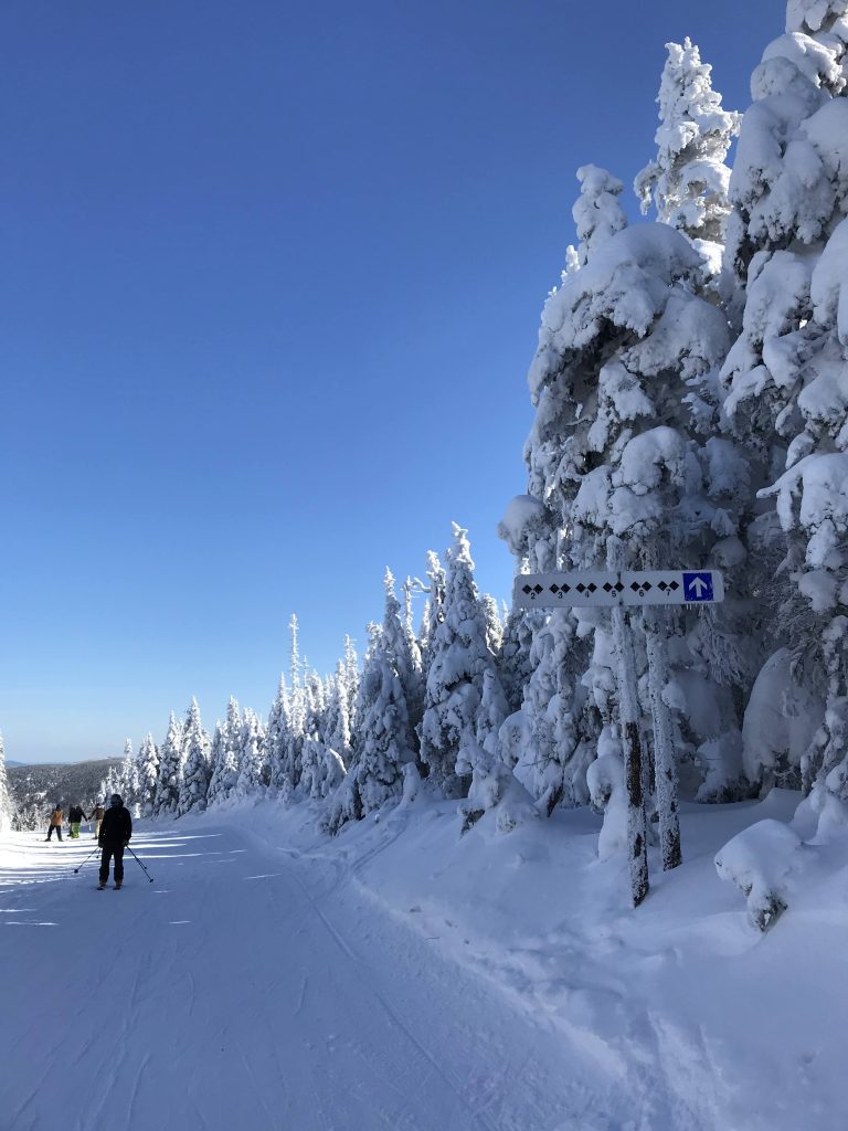 Snow-covered trees and trail signs marking the double-black-diamond Extreme Sector at Massif du Sud on a clear winter day.