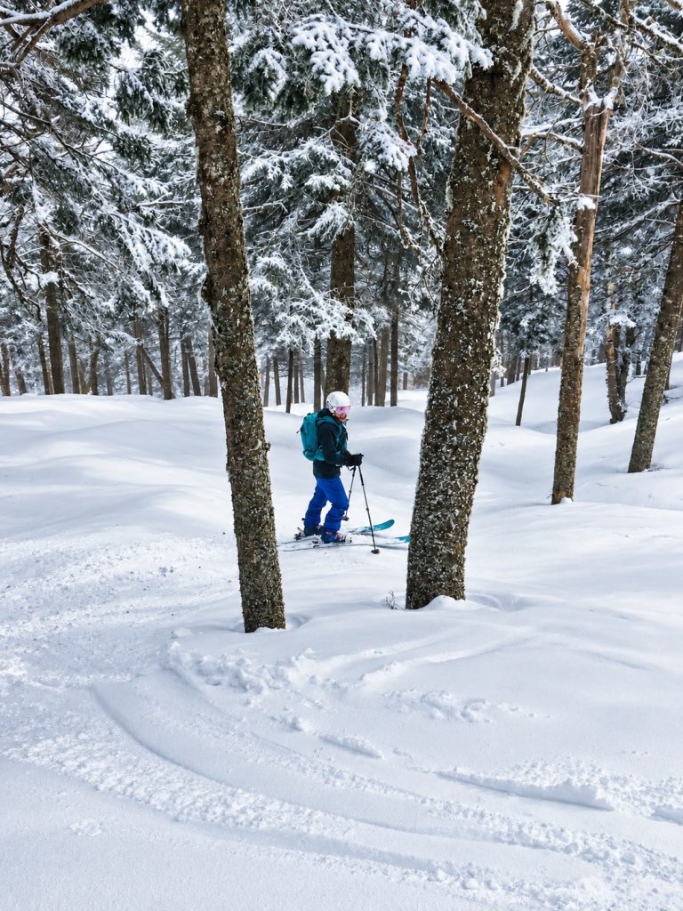 Skier exploring snowy glades at Massif du Sud near Quebec City after fresh snowfall.