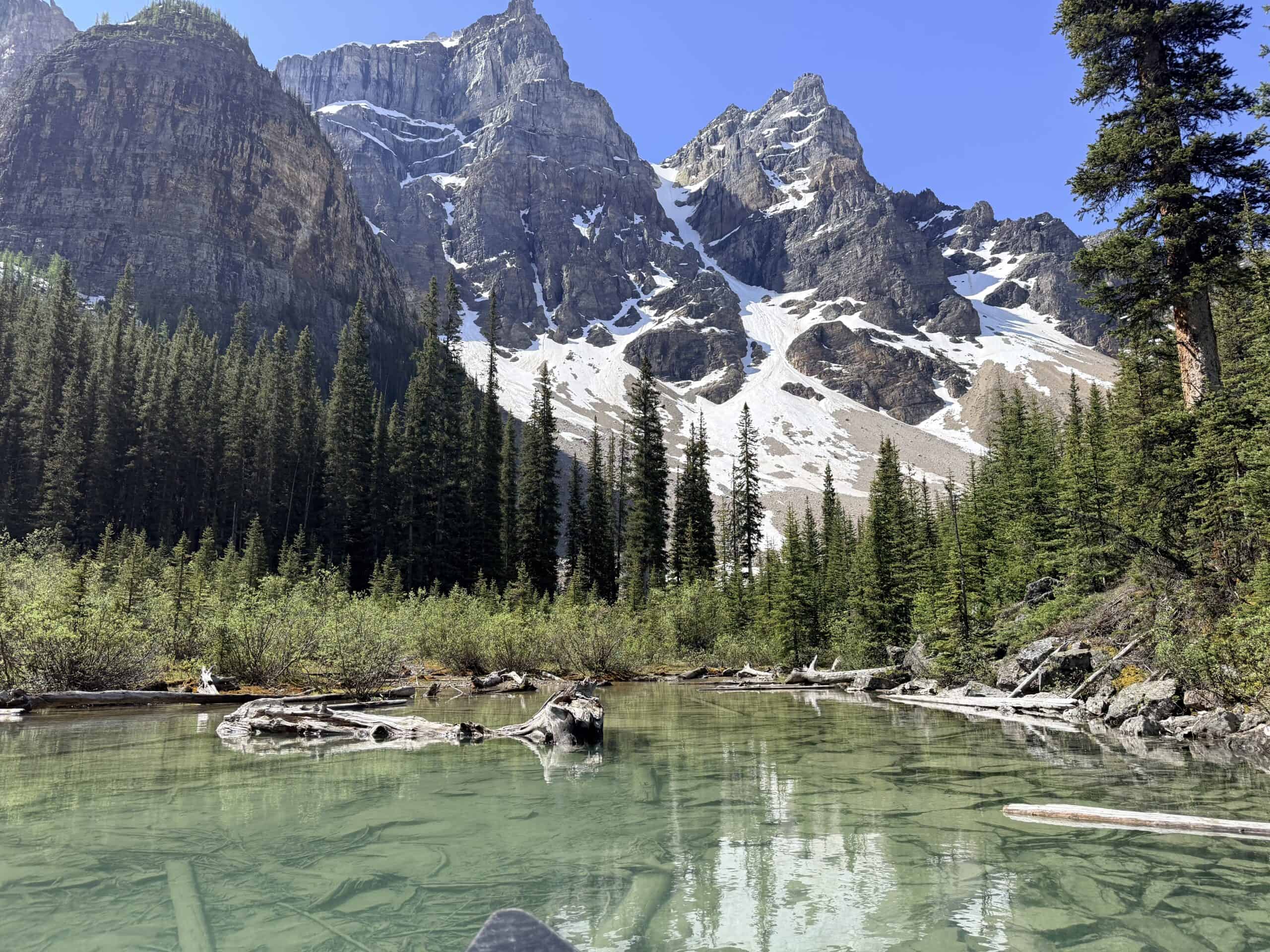 Snow-covered peaks and evergreen forest viewed from a canoe near the far end of Moraine Lake