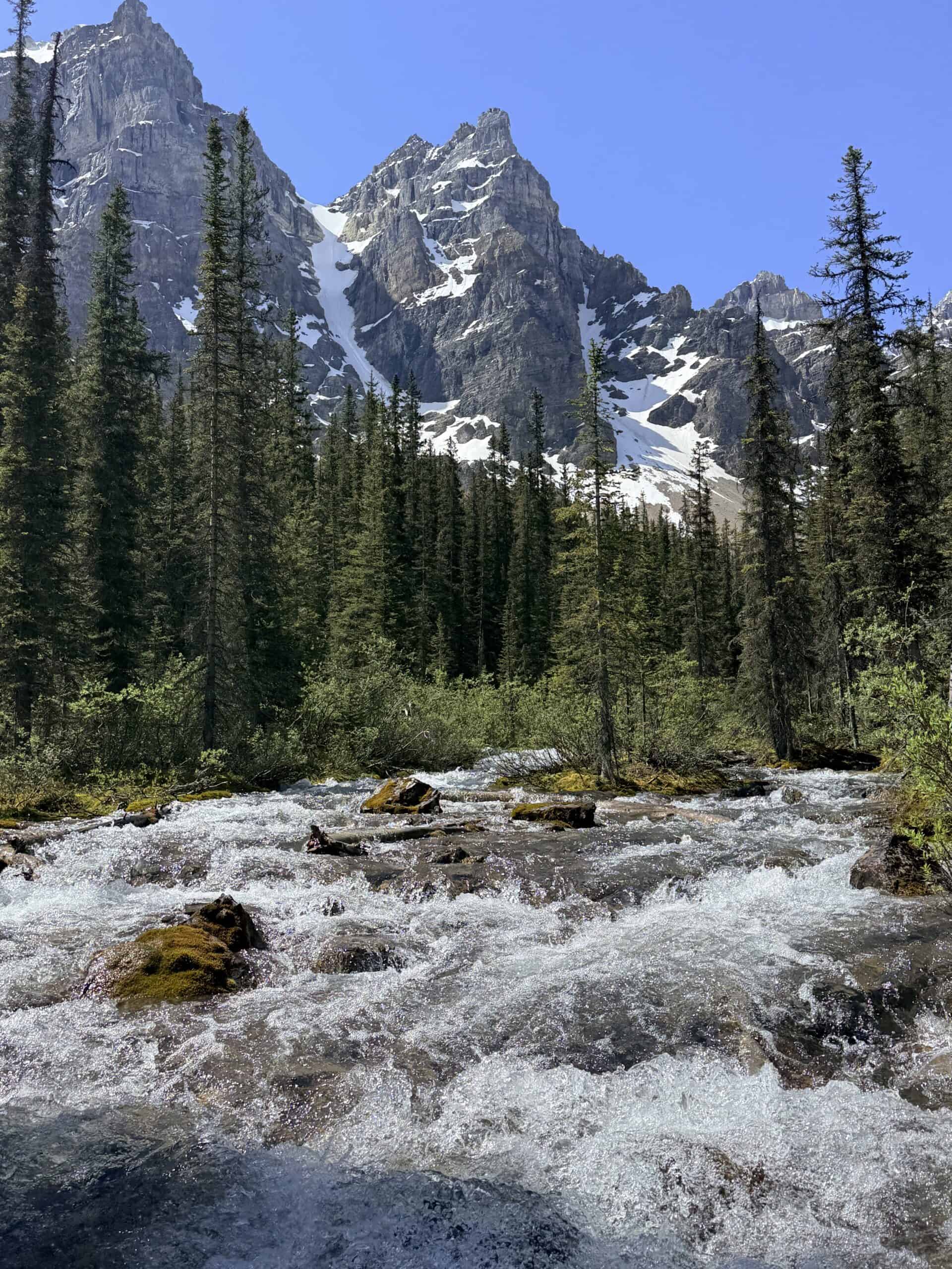 Mountain stream cascading over rocks beside Moraine Lake, surrounded by evergreen trees and snow-streaked peaks.