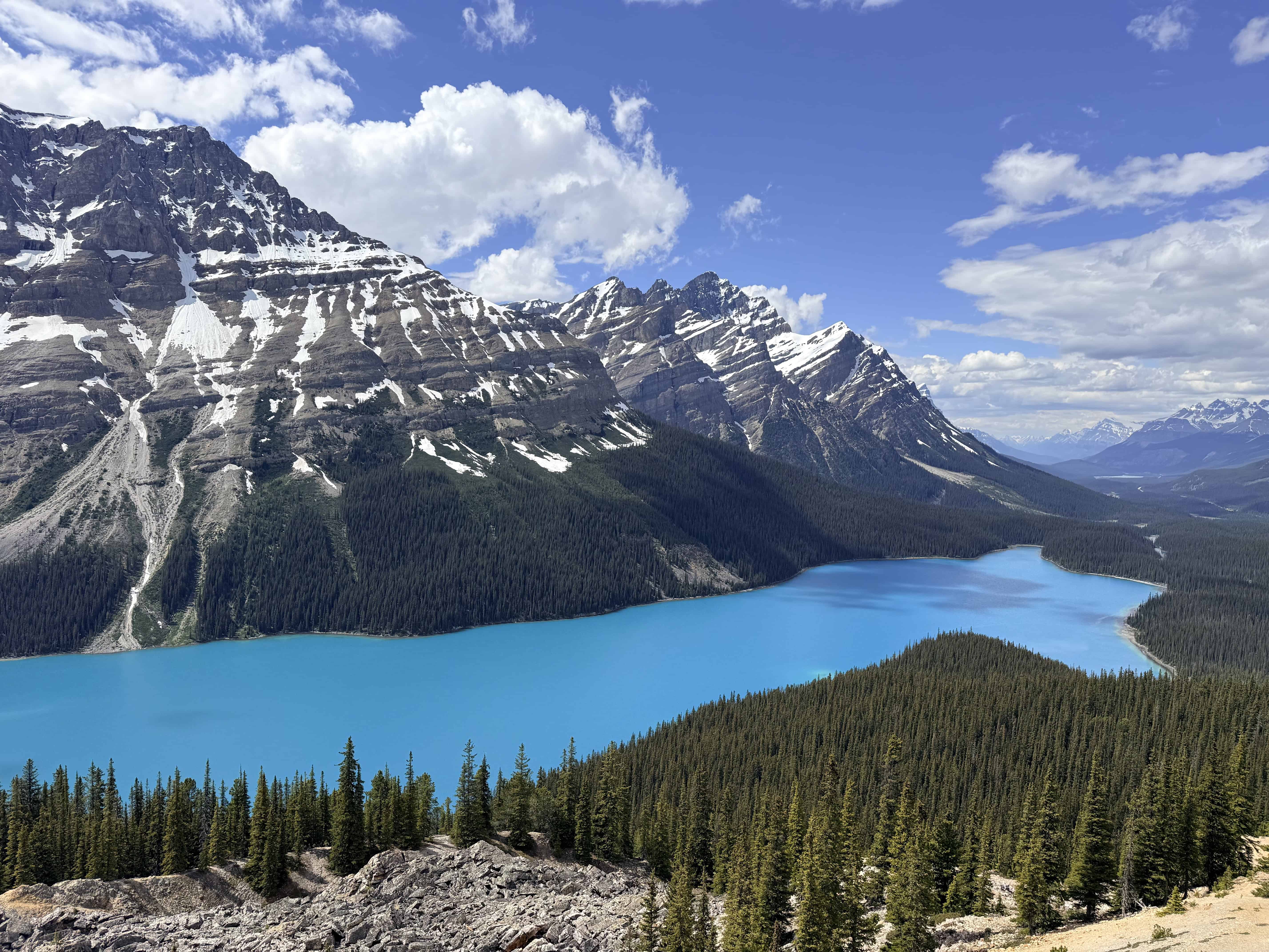 Bright blue Peyto Lake and rugged Canadian Rockies seen from the viewpoint along the Icefields Parkway.