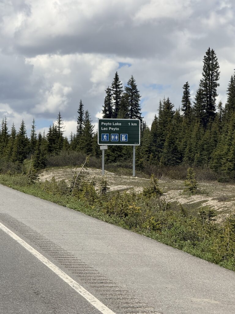 Roadside sign reading “Peyto Lake / Lac Peyto 1 km” along the Icefields Parkway, with hiking, washroom, and viewpoint symbols.