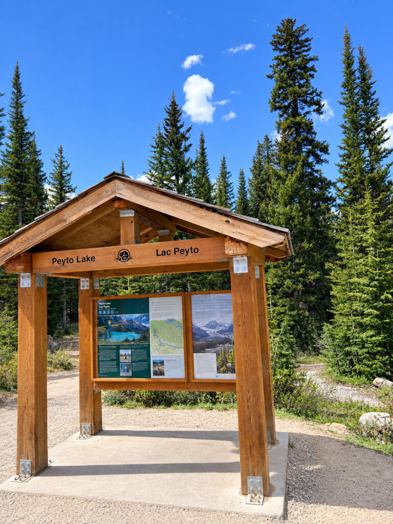 Wooden Peyto Lake trailhead kiosk with bilingual signage and information panels, surrounded by evergreen trees in Banff National Park.