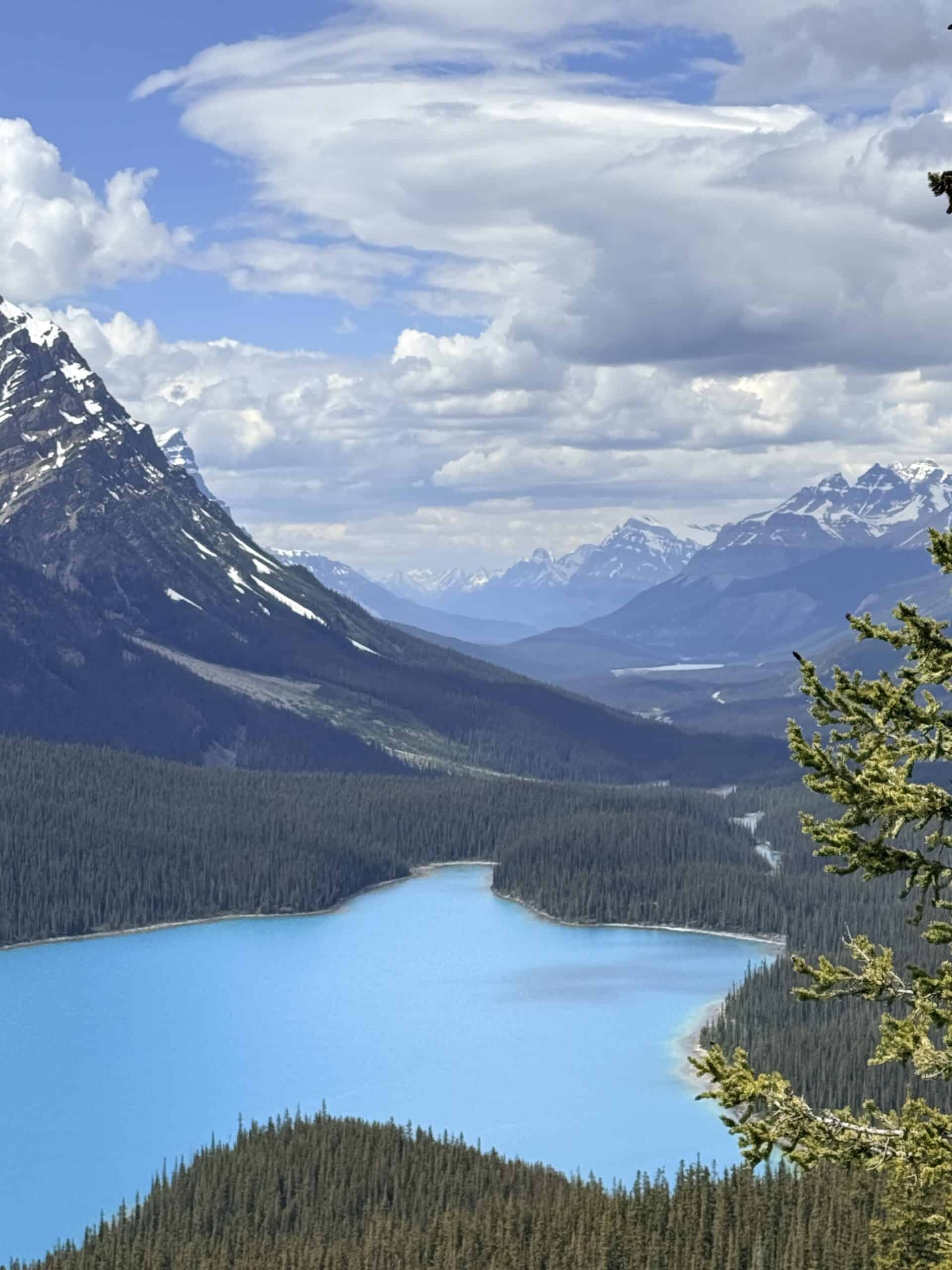 Turquoise Peyto Lake from the viewpoint along the Icefields Parkway