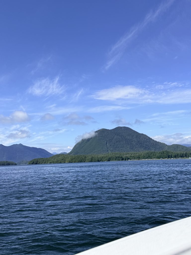 Coastal mountain and ocean view seen from a boat during a whale watching tour near Tofino.