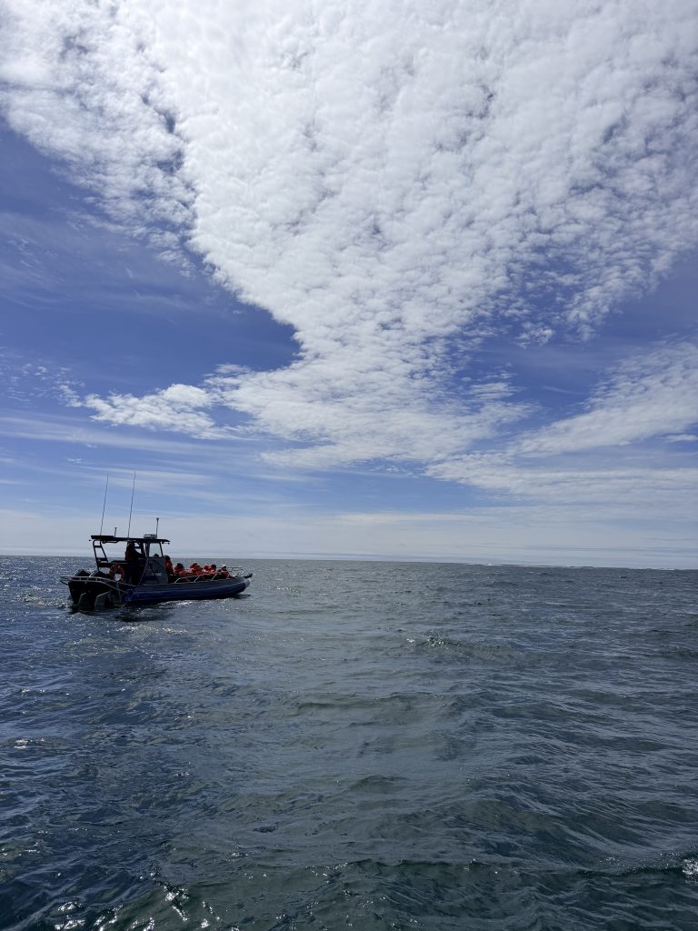 Whale watching boat on the ocean near Tofino under a bright sky with scattered clouds.