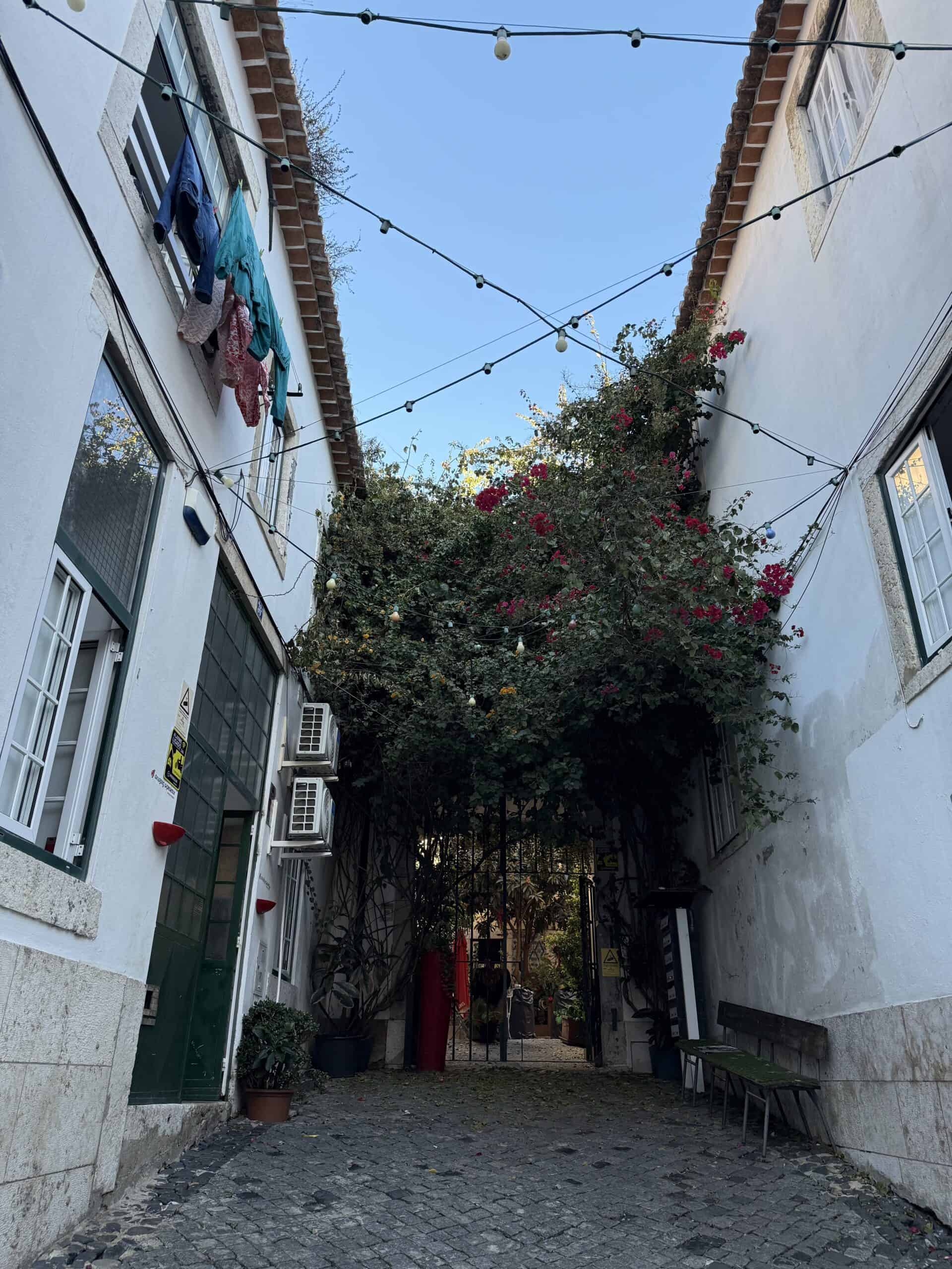 Pink bougainvillea, hanging laundry and string lights between white buildings in a cobblestone courtyard in Alfama.