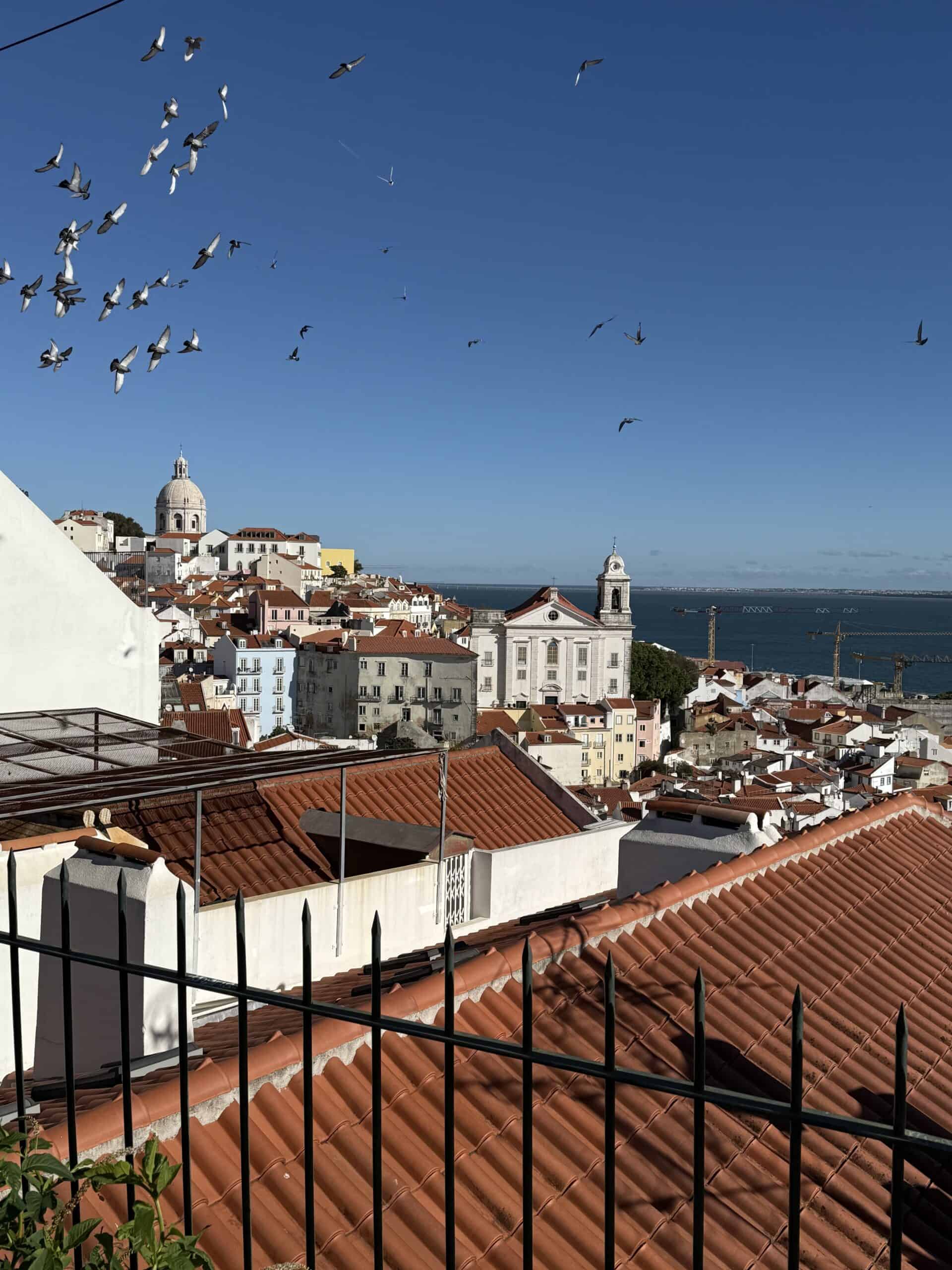 Birds flying above Alfama's red rooftops, historic churches and the Tagus River from a Lisbon viewpoint.