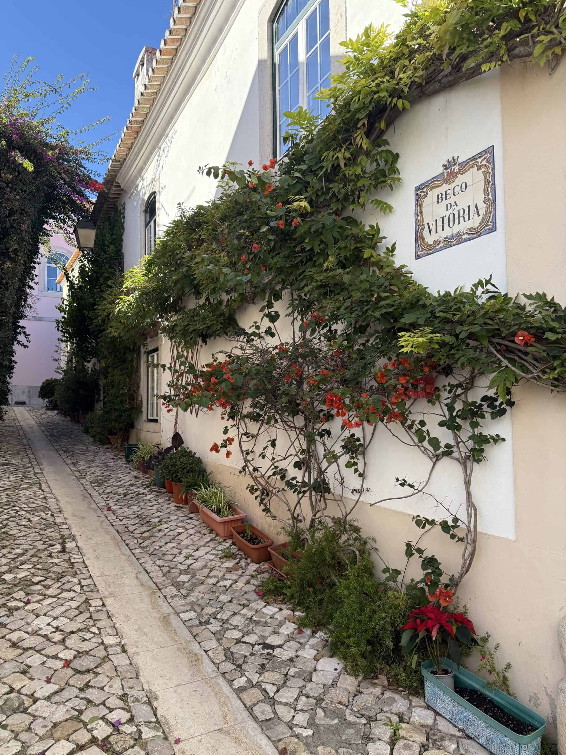 Flowering vines and potted plants along the cobbled Beco da Vitória lane in Cascais, Portugal.