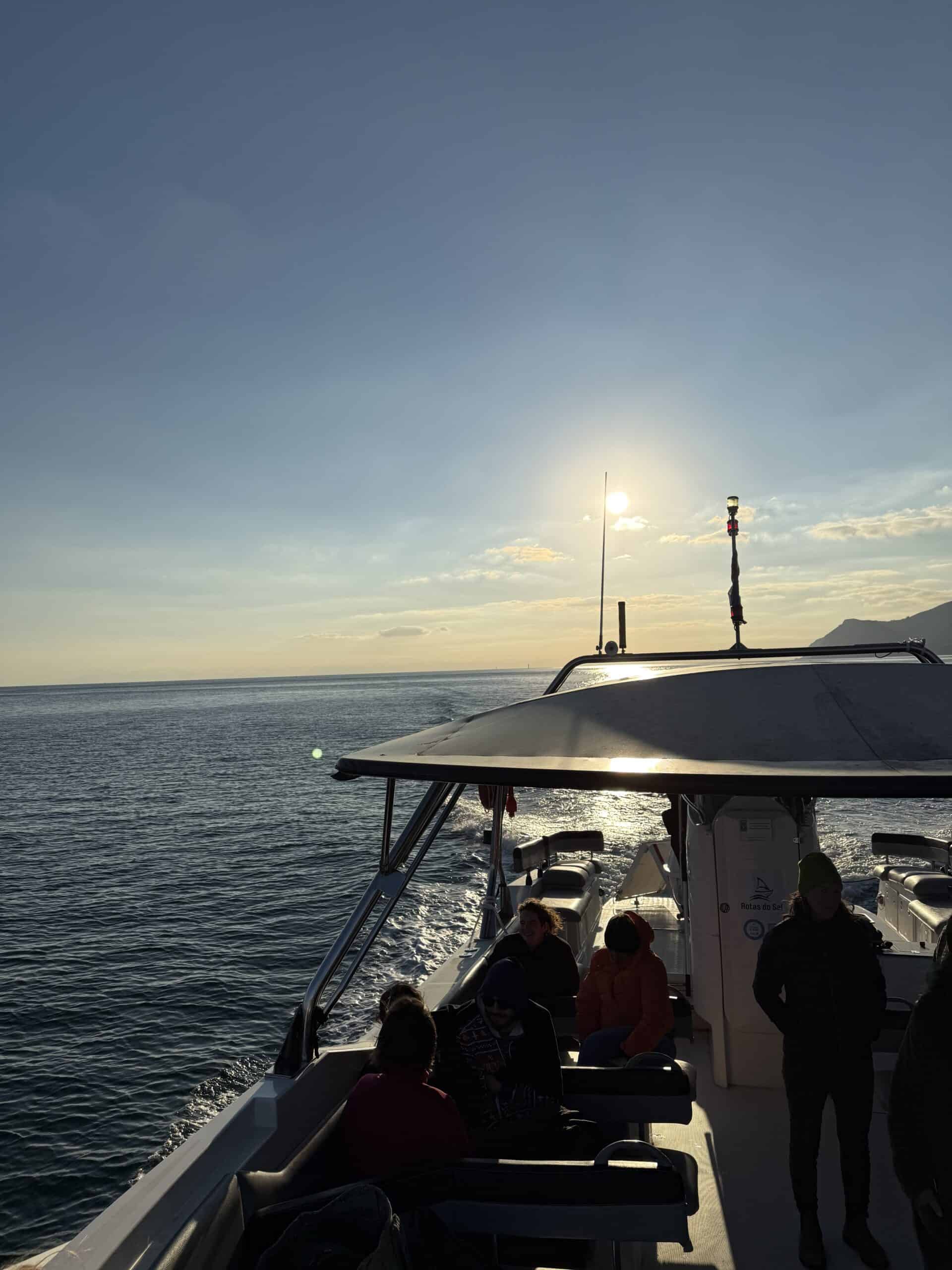 Passengers aboard a dolphin-watching boat tour on the Sado Estuary near Setúbal, Portugal, with sunlight reflecting on the water