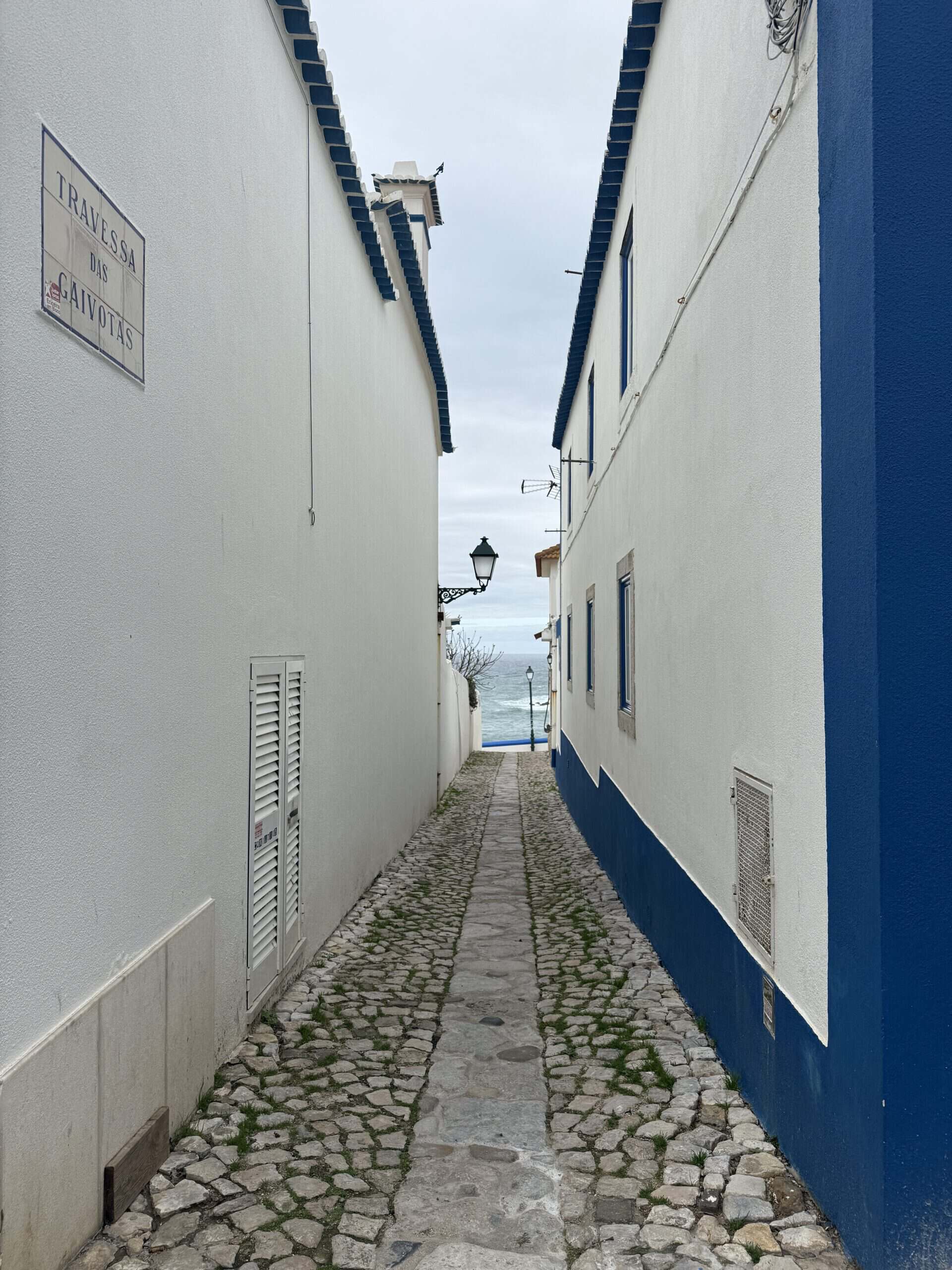 Narrow cobblestone street between whitewashed buildings with blue trim in Ericeira, Portugal.