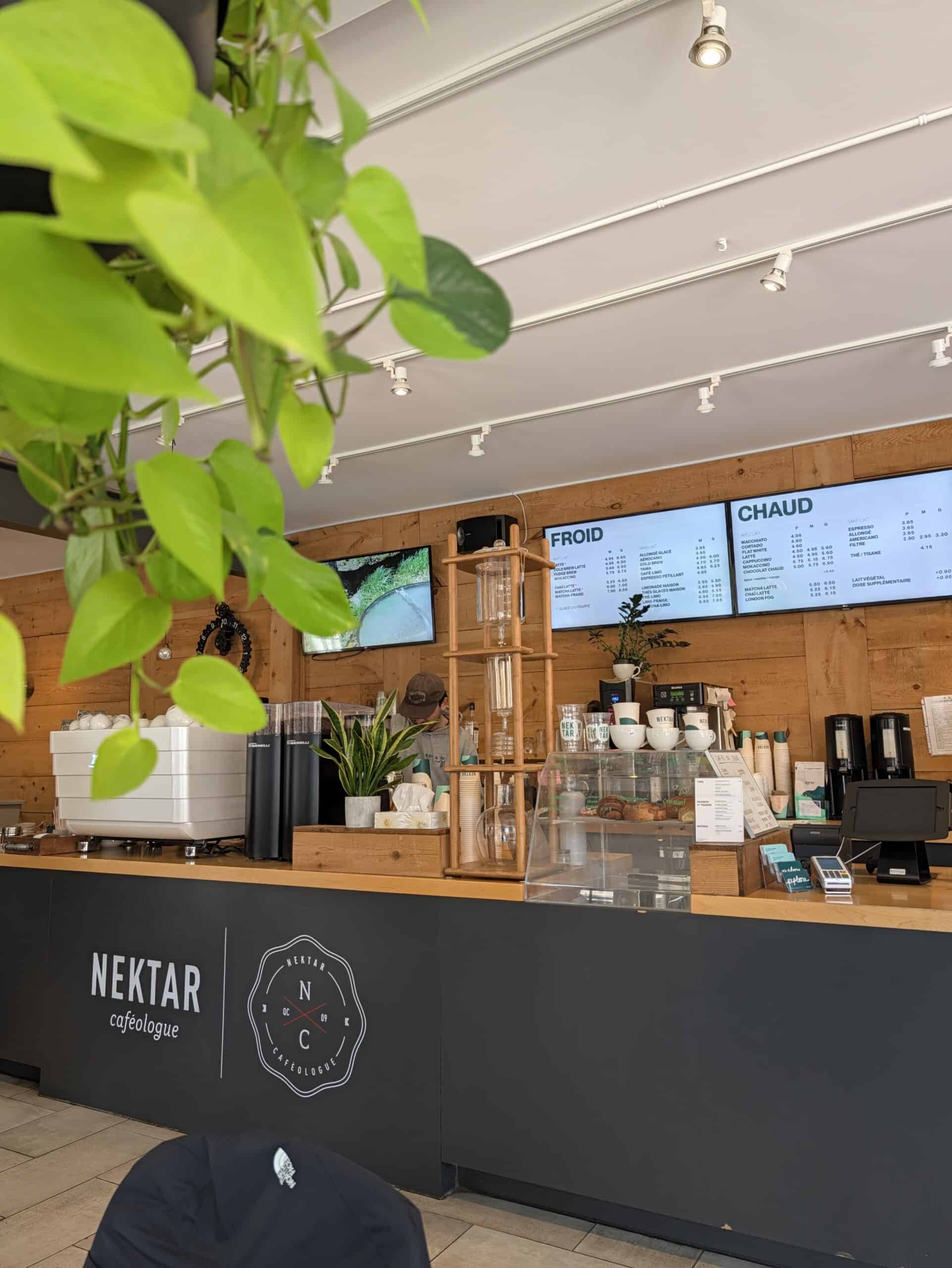 Coffee bar at Nektar Caféologue in Limoilou, Quebec City, featuring an espresso machine, wooden decor and hanging green plants.