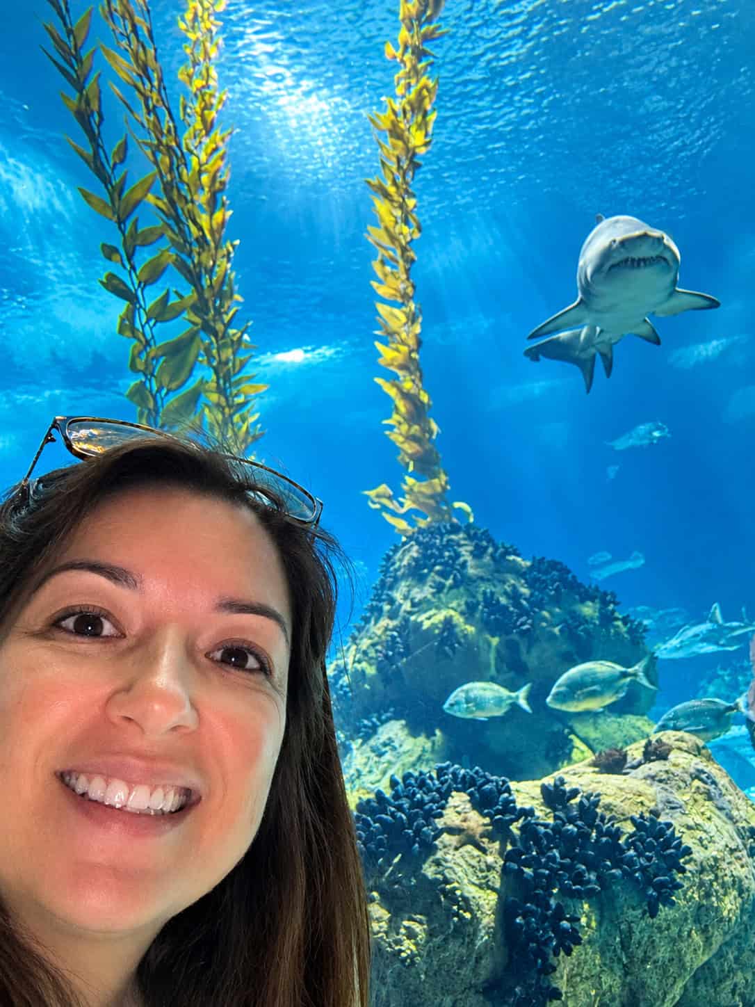 Traveller smiling in front of a large aquarium tank at Oceanário de Lisboa, with a shark, colourful fish and underwater marine life.