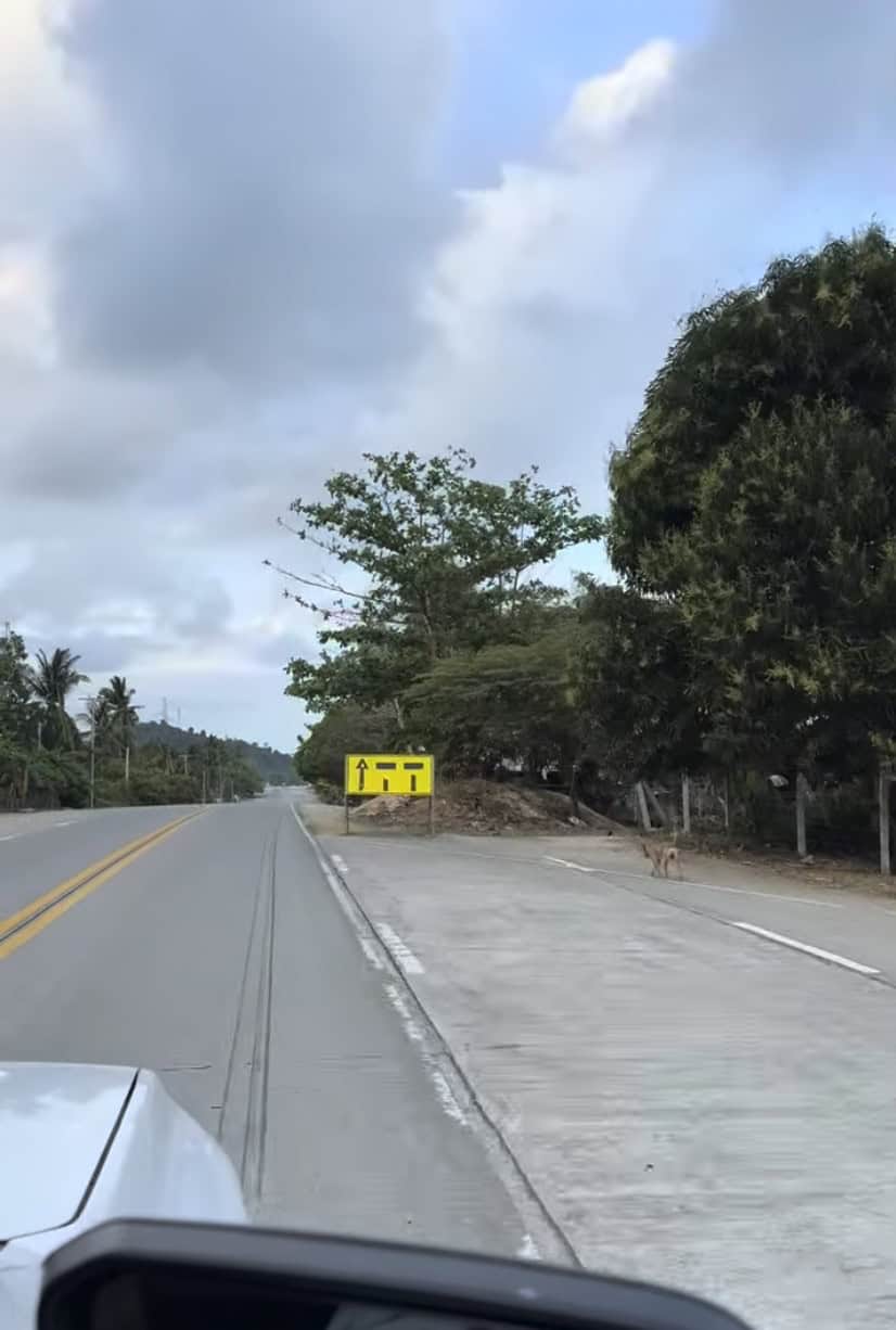 Roadside warning sign along a highway in Palawan