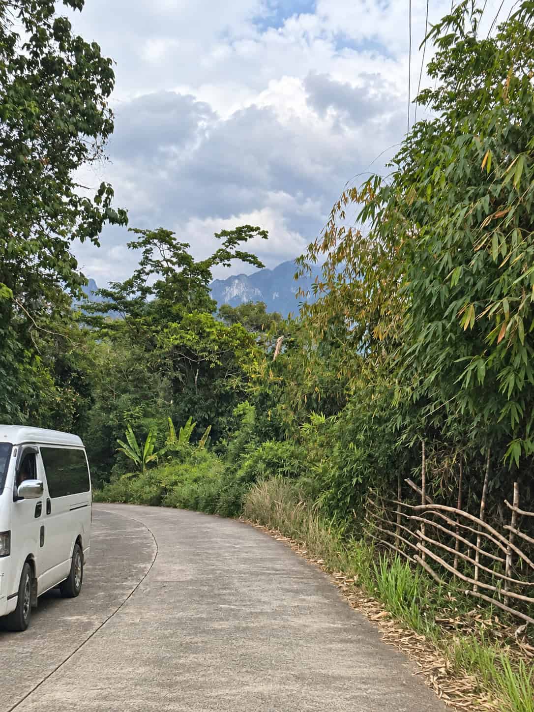 Narrow paved rural road surrounded by bamboo and tropical greenery in Palawan, Philippines