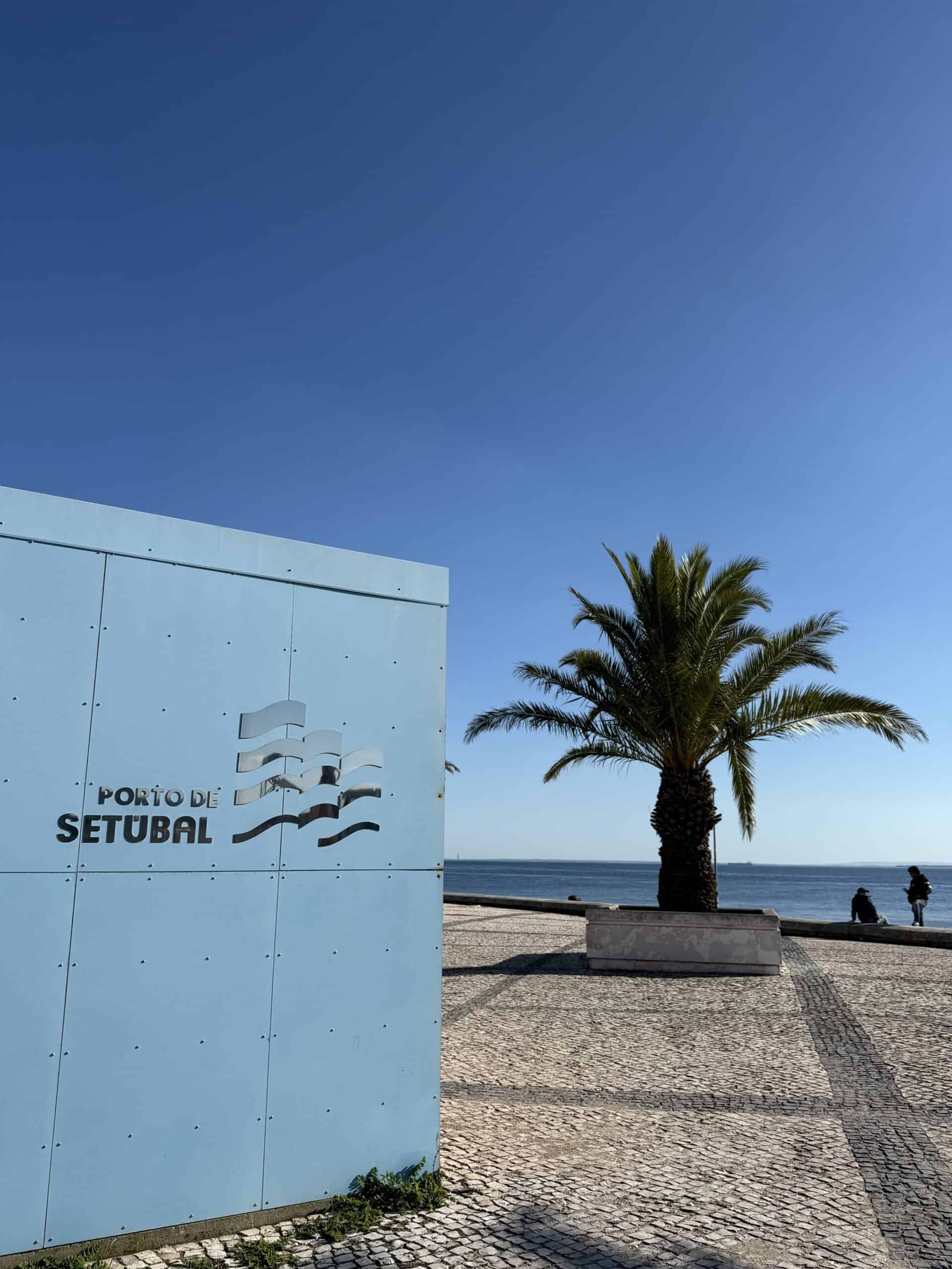 Porto de Setúbal sign beside a palm tree overlooking the Sado Estuary waterfront in Portugal